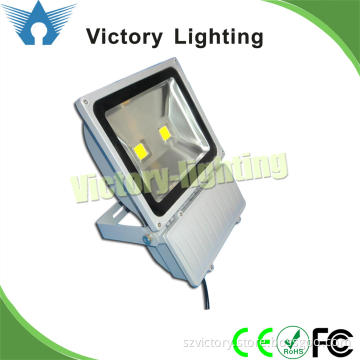 New Design 100W COB Floodlighting with High Quality (WY2960)